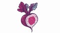 Fresh Beetroot with Leaf on Top, Sugar Beet Vegetable Illustration Royalty Free Stock Photo