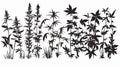 Seamless Castor Plants Grass Silhouette Vector Background Royalty Free Stock Photo