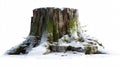 Winter landscape with snow-covered old tree stump, isolated on white background Royalty Free Stock Photo