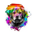 Image of german shepherd bright colorful background Royalty Free Stock Photo