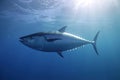 Image of a giant bluefin tuna fish swimming in clear ocean water. Undersea animals. Illustration. Generative AI