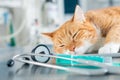 Image of a ginger sleeping cat lying on a table near a syringe and a stethoscope. Veterinary medicine concept