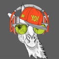 The image of the giraffe in the glasses, headphones and in hip-hop hat. Vector illustration.