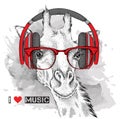 The image of the giraffe in the glasses and headphones. Vector illustration.