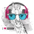 The image of the giraffe in the glasses and headphones. Vector illustration.