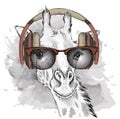 The image of the giraffe in the glasses and headphones. Vector illustration.