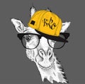 The image of the giraffe in the glasses and in hip-hop hat. Vector illustration.