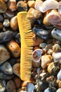 Beachcombing - pollution of the natural environment Royalty Free Stock Photo