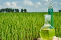 Agrochemical solution. Chemical agent. Fertilizer. Royalty Free Stock Photo