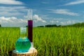 Glass bulb. Agrochemical solution. Chemical agent. Fertilizer. Royalty Free Stock Photo