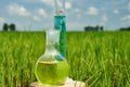 Glass bulb. Agrochemical solution. Chemical agent. Royalty Free Stock Photo