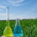 Image of a glass flask with a chemical solution on the background of young shoots of wheat