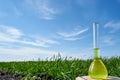 Image of a glass flask with a chemical solution on the background of young shoots of wheat