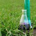 Image of a glass flask with a chemical solution on the background of young shoots of wheat