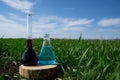 Glass flask with a chemical solution Royalty Free Stock Photo