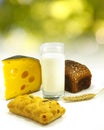 Image of a glass of milk, bread on the board, wheat and cheese closeup Royalty Free Stock Photo