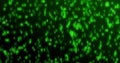 Image of glowing green binary coding moving over black background