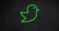 Image of glowing neon bird icon on brick wall