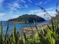 An image of the Goat Island scientific marine reserve in the Auckland region of New Zealand Royalty Free Stock Photo