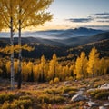 Golden tree leaves of a fall aspen forest contrasted against a black and white panoramic landscape scene in