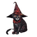 Gothic cat with witch hat watercolor illustration Royalty Free Stock Photo