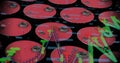 Image of graph with data processing over barrels on black background Royalty Free Stock Photo