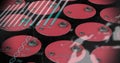 Image of graph with data processing over barrels on black background Royalty Free Stock Photo