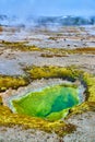 Green alkaline water fills geyser at Yellowstone in basin