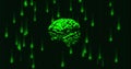 Image of green binary coding data processing over glowing green human brain on black background Royalty Free Stock Photo