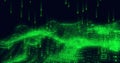 Image of green binary coding data processing over waving on black background Royalty Free Stock Photo