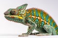 Image of green chameleons on white background. Reptile. Wildlife Animals. Illustration. Generative AI