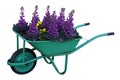 Green garden cart overflowing full with flowers