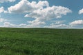 Image of green grass field and bright blue sky Royalty Free Stock Photo