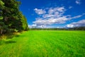 Image of green grass field, green forest and bright blue sky with clouds on sunny summer day Royalty Free Stock Photo