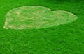 Image of green grass ( Heart shape ) Royalty Free Stock Photo