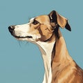 Image of a greyhounds dog head on clean background. Mammals. Pet. Animals