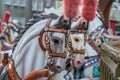 A Group of Carousel Horses on a Fun Fair Ride