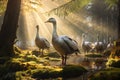 Image of group of geese in the forest. Farm animals. Illustration, Generative AI Royalty Free Stock Photo