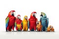 Image of group of parrot on a white background. Birds. Pet. Animals. Illustration, Generative AI Royalty Free Stock Photo