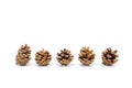 Image group of pinecone isolated on white background, set of pine cone tree is symbol decoration Christmas holiday