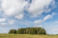 Image of a group of trees on a meadow with sky and clouds in the background of a rural area in Bavaria, Germany Royalty Free Stock Photo