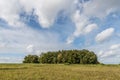 Image of a group of trees on a meadow with sky and clouds in the background of a rural area in Bavaria, Germany Royalty Free Stock Photo