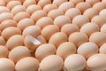 Image of a group of whole chicken eggs and half an egg shell among it.