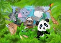 Group of wild animals in the jungle
