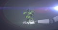 Image of growing plant in hand of robot arm, with blue light on dark background Royalty Free Stock Photo