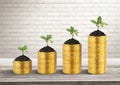 Plants growing up on the golden money coins Royalty Free Stock Photo