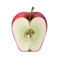 Image of half of fresh red apple with seeds. ripe juicy cut apple illustration isolated on white. delicious sliced red