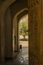 Image of half open ornate door of mosque