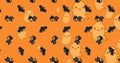 Image of halloween ghost, cat and cat pattern on orange background Royalty Free Stock Photo
