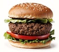 A hamburger with lettuce, tomato, and cheese on a bun. Royalty Free Stock Photo